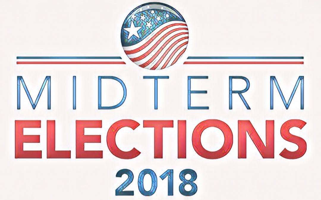 Midterm Elections – A Record Number of Native Americans Running for Office